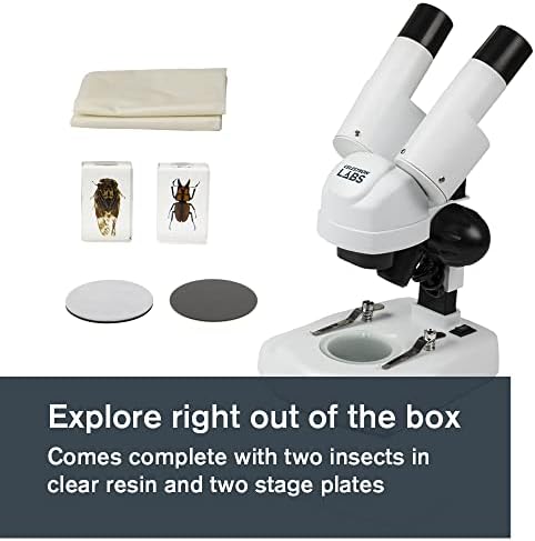 Celestron – Sztereó Mikroszkóp – Celestron Labs S20 – Ergonomikus Binokuláris Fej – 20x-os Nagyítás