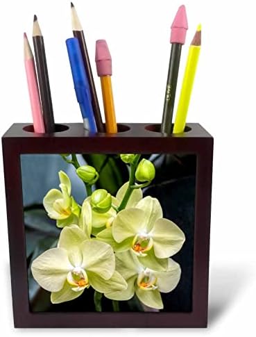 3dRose Danita Delimont - Virág - Fehér Lepke Orchideát. - Mozaik Toll Jogosultjai (ph-366994-1)