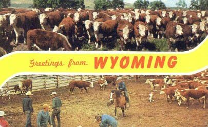 Üdvözlet, Wyoming Képeslap