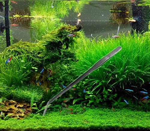 SAMYO Rozsdamentes Acél Akvárium Tartály Növény Eszközök Aquascaping Kit Vízi Növény Csipesz Olló Szubsztrát Spatulával Eszközök