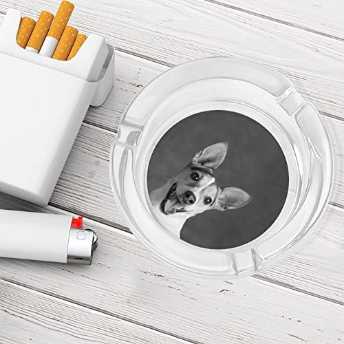 Portré Egy Jack Russell Terrier Üveg Hamutartó a Cigaretta vagy Szivar Kerek hamutartó az Esetben Jogosult az Asztal Asztali
