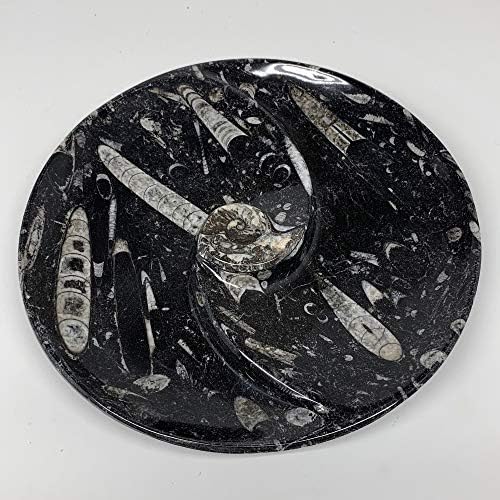 WatanGems 928g, 8.25 Kézműves Természetes Kerek Fekete Fosszíliák Orthoceras Ammonite Gyűrű Étel Tálat is Készült Egyedi