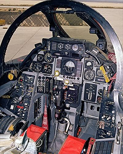 F-14 Tomcat Pilótafülke 11x14 Ezüst-Halogenid-Fotó Nyomtatás