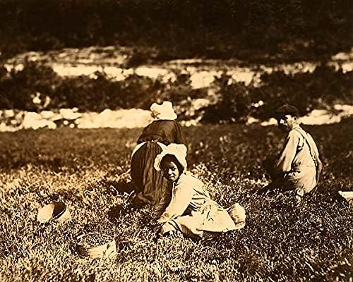 Gyümölcs Gyűjtögetők gyermekmunka Lewis Hine 1911 11x14 Ezüst-Halogenid-Fotó Nyomtatás